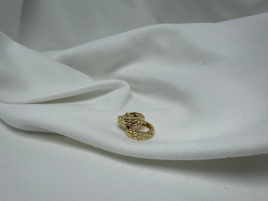 Desenli Çelik Halka Küpe XP